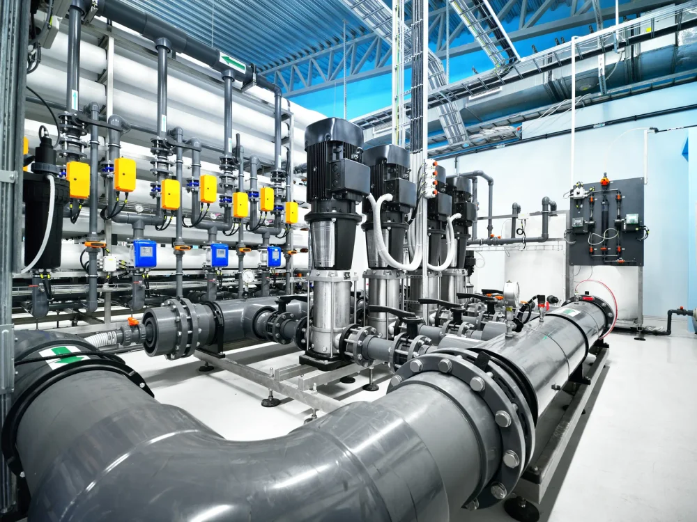 Drinking water plant image